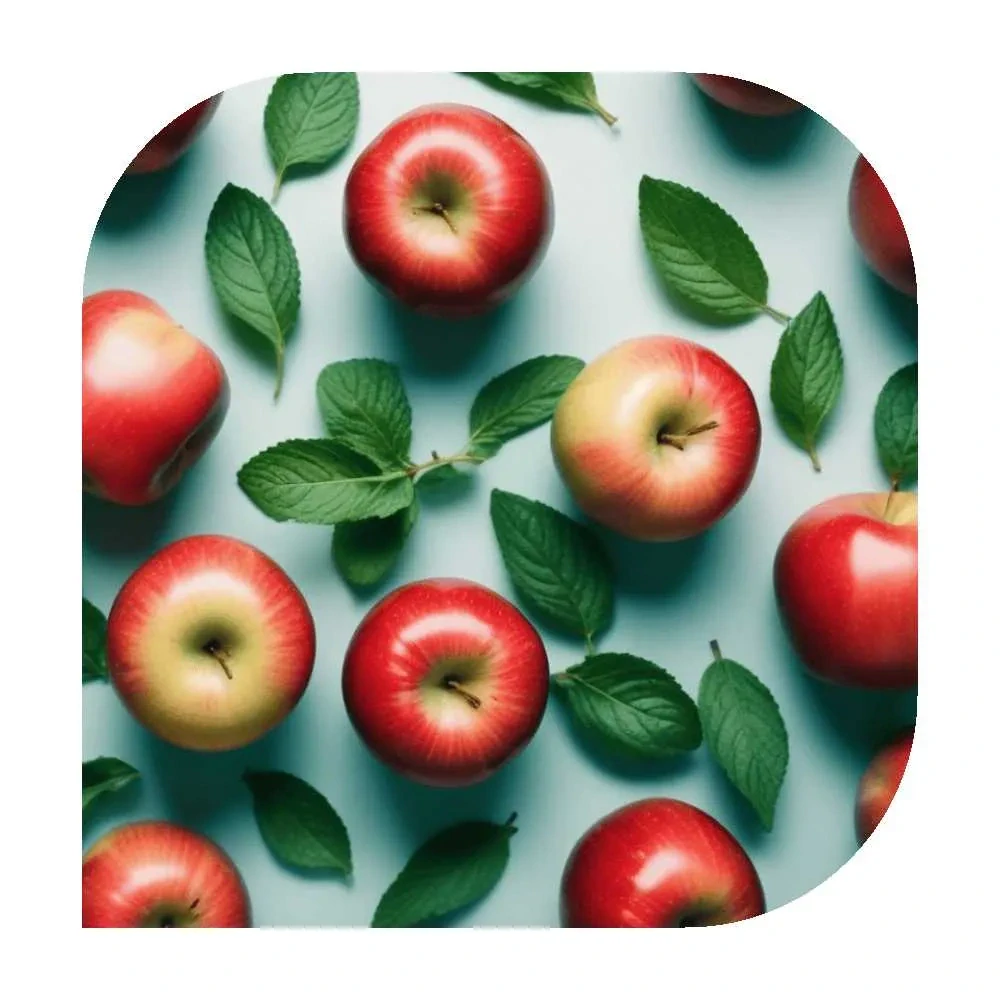 LYO for Ploom Winter Apple 20/4g