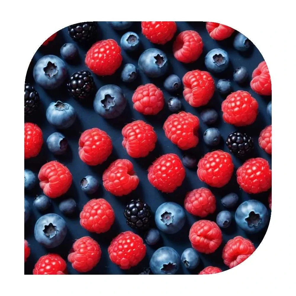 LYO for Ploom Wild Berry 20/4g