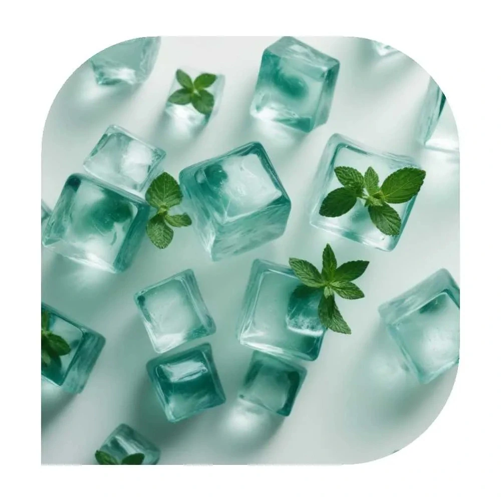 LYO for Ploom Arctic Mint 20/4g