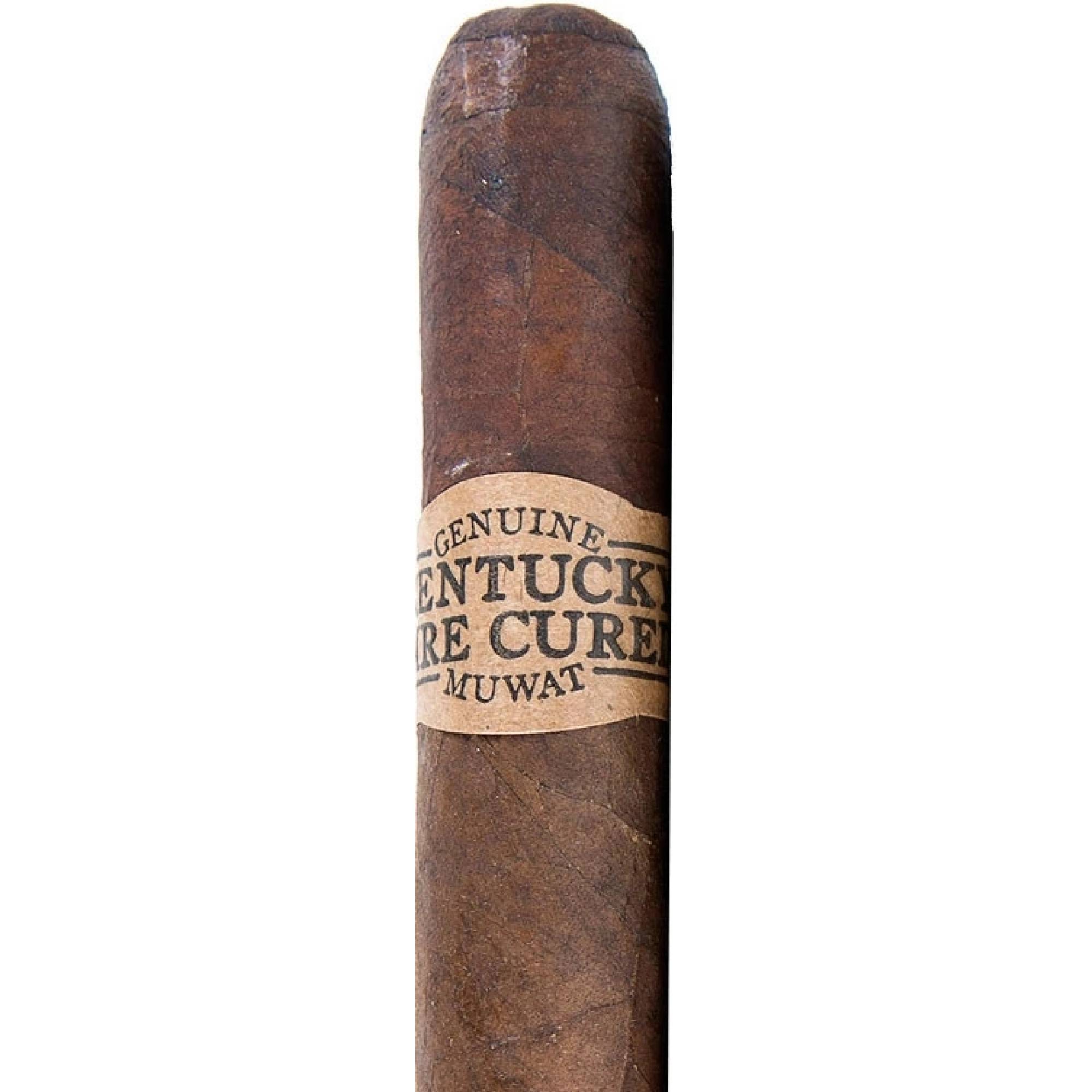 Doutníky Kentucky Fire Cured Chunky, 10ks