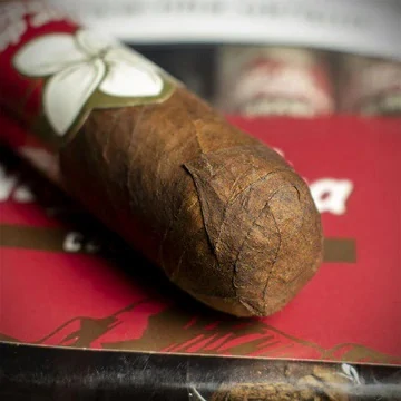 Doutníky Flor de Nicaragua Colorado Robusto, 20ks