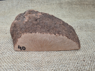 Briárový přířez na výrobu dýmky (BR40)