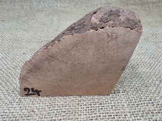 Briárový přířez na výrobu dýmky (BR24)