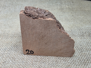 Briárový přířez na výrobu dýmky (BR20)