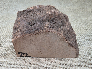 Briárový přířez na výrobu dýmky (BR22)