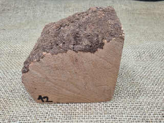 Briárový přířez na výrobu dýmky (BR12)