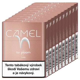 Camel EVO Tan (karton)