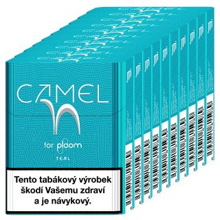 Camel EVO Teal (karton)